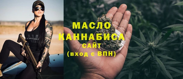spice Гусев