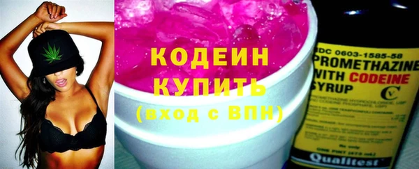 spice Гусев