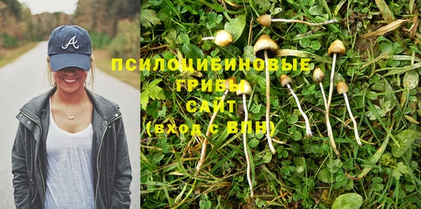 mdma Дмитров