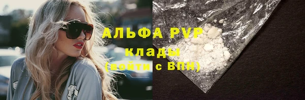 винт Дмитриев
