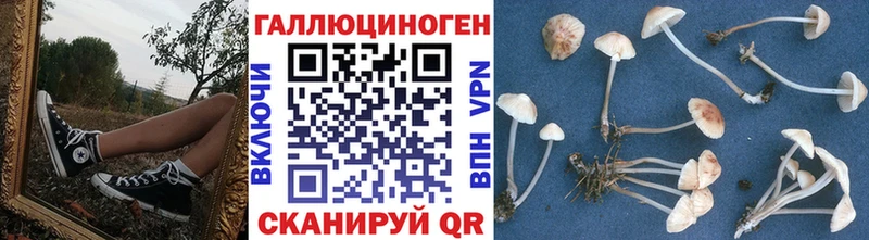Купить где  Котовск  Галлюциногенные грибы Magic Shrooms 