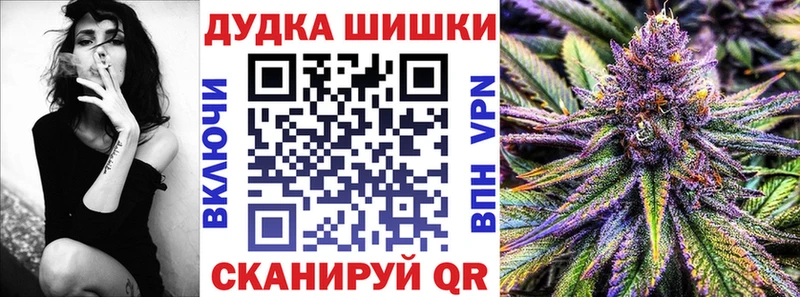 Марихуана план  Купить  Котовск 